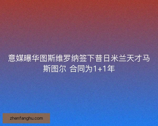 意媒曝华图斯维罗纳签下昔日米兰天才马斯图尔 合同为1+1年