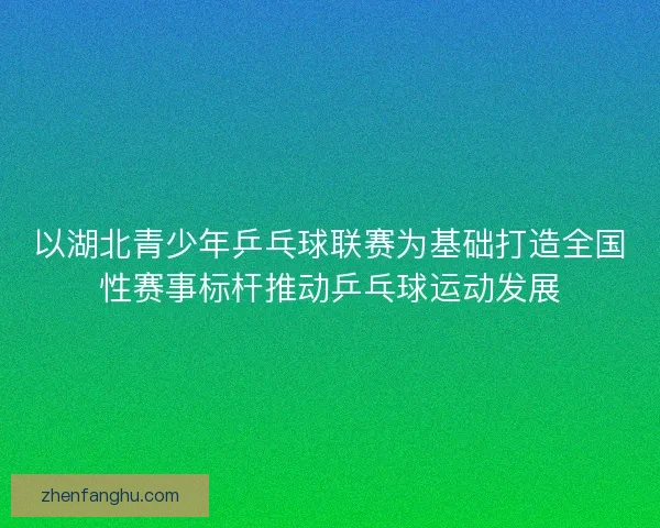 以湖北青少年乒乓球联赛为基础打造全国性赛事标杆推动乒乓球运动发展