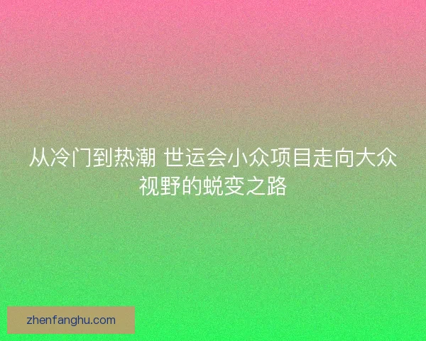 从冷门到热潮 世运会小众项目走向大众视野的蜕变之路