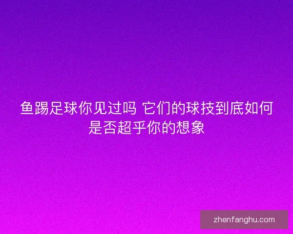 鱼踢足球你见过吗 它们的球技到底如何是否超乎你的想象